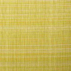Bella Dura Grasscloth Bamboo 28734A2 / 32558A1-34 Upholstery Fabric