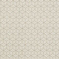 F Schumacher Tumbling Blocks Greige 176040 by Miles Redd Indoor Upholstery Fabric