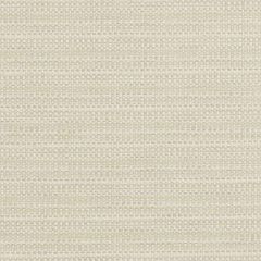 Duralee Bamboo 36260-564 Decor Fabric