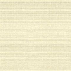 Kravet Contract Beekman Coconut 34188-101 Crypton Incase Collection Indoor Upholstery Fabric