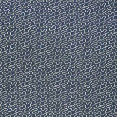 F. Schumacher Meander Embroidery Indigo 67600 Au Natural Collection