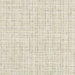 Kravet Couture Wenthworth Check Alabaster 35188-1611 Well-Suited Collection by David Phoenix Indoor Upholstery Fabric
