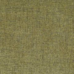 ABBEYSHEA Meld Lemongrass 51 Indoor Upholstery Fabric