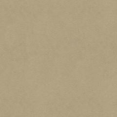 Lee Jofa Ultimate Pebble 960122-1060 Ultimate Suede Collection Indoor Upholstery Fabric