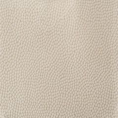 Kravet Couture Beautymark Sand 1116 Faux Leather Indoor Upholstery Fabric