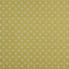 Robert Allen Contract Four Star-Sour 227431 Decor Upholstery Fabric