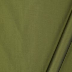 Robert Allen Contract Vinetta Avocado 215477 Drapeable Silk Looks Collection Multipurpose Fabric