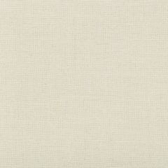 Kravet Couture Garden Silk Cream 35470-1 Modern Luxe - Izu Collection Multipurpose Fabric