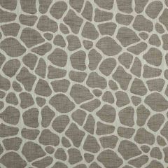 Robert Allen Rocky Way Driftwood 222340 Artisan Collection Indoor Upholstery Fabric