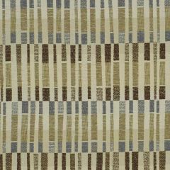 Robert Allen Slug Bug Rain 178081 Indoor Upholstery Fabric
