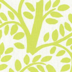 F Schumacher Temple Garden Appletini 173580 by Jamie Drake Indoor Upholstery Fabric