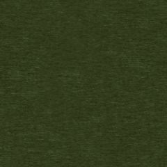 Kravet Basics Green 31776-53 Indoor Upholstery Fabric