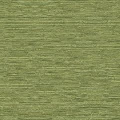 Kravet Smart Green 33001-30 Indoor Upholstery Fabric