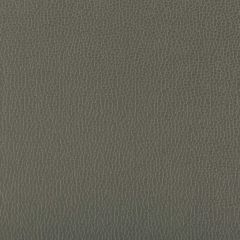 Kravet Contract Lenox Shadow 21 Indoor Upholstery Fabric