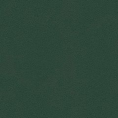 Kravet Contract Bess Green 5 Faux Leather Indoor Upholstery Fabric
