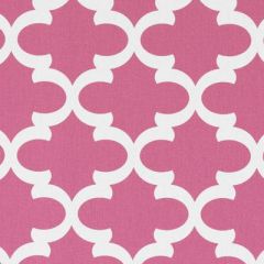 Duralee Bubblegum 42474-670 Astoria Trellis Print Collection Upholstery Fabric