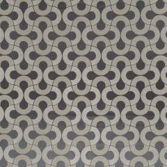 Beacon Hill Setting Circle Platinum 247714 Silk Jacquards and Embroideries Collection Drapery Fabric