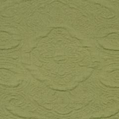 Robert Allen Bainville 106-Peridot 221678 Decor Multi-Purpose Fabric