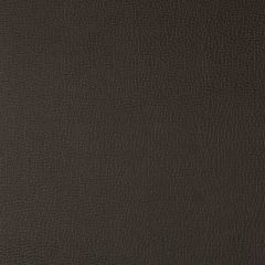 Kravet Contract Lenox Java 66 Indoor Upholstery Fabric