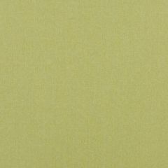 Baker Lifestyle Carnival Plain Lime PF50420-755 Carnival Collection Multipurpose Fabric
