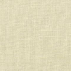 Stout Manage Desert 88 Linen Looks Collection Multipurpose Fabric