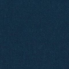 Perennials Canvas Weave Blue Boy 600-390 More Amore Collection Upholstery Fabric