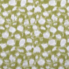 Duralee Grass 21046-597 Decor Fabric