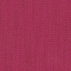 Perennials Rough 'N Rowdy R-Cerise 955-457 Beyond the Bend Collection Upholstery Fabric