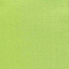 Tempotest Home Lime 16/0 Solids Collection Upholstery Fabric