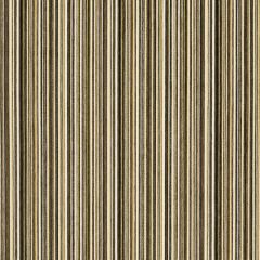 Robert Allen Chroma Stripe Ink 239408 DwellStudio Modern Archive Collection Indoor Upholstery Fabric
