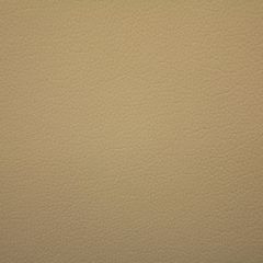 Aldeco Storm Fr Taupe A9 0007STOR Bloom Collection Contract Upholstery Fabric