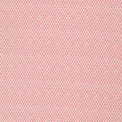 Robert Allen Gem Palace BK-Rhubarb 248439 Fabric