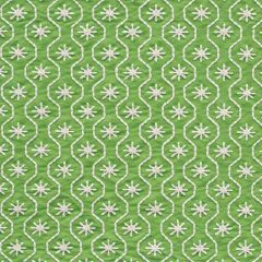 F Schumacher Gigi Embroidery Green 73490 Happy Together Collection Indoor Upholstery Fabric