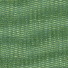 Perennials Rough 'n Rowdy Green Parrot 955-179 Beyond the Bend Collection Upholstery Fabric