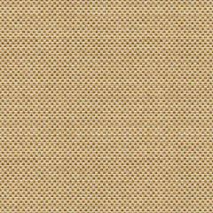 Kravet Design Sener Ochre 33887-416 Constantinople Collection Indoor Upholstery Fabric
