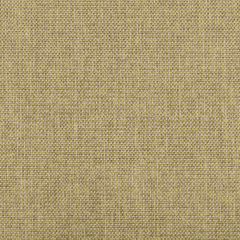 Kravet Contract Burr Citron 35745-13 Performance Kravetarmor Collection Indoor Upholstery Fabric