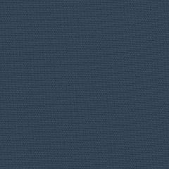 Perennials Canvas Weave Denim 600-282 More Amore Collection Upholstery Fabric