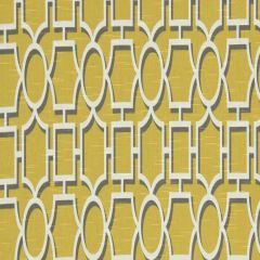 Robert Allen Vreeland Dandelion 229775 Decorative Modern Collection by DwellStudio Multipurpose Fabric