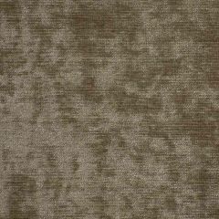 Robert Allen Orizzonte Twig 209331 Indoor Upholstery Fabric