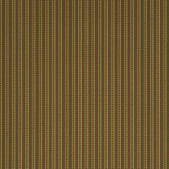 Robert Allen Contract Gypsy Bands-Tuscan 245710 Decor Upholstery Fabric