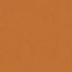 Kravet Contract Belus Orange 212 Faux Leather Indoor Upholstery Fabric
