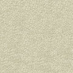 Kravet Jatoba Mineral 34177-11 by Candice Olson Indoor Upholstery Fabric