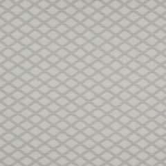 Beacon Hill Collaboration-Silver 218629 Decor Upholstery Fabric