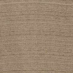 Robert Allen Plush Plain Twine Performance Chenille Collection Indoor Upholstery Fabric