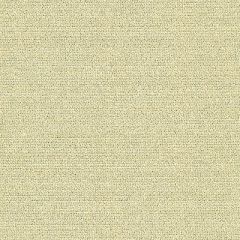 Kravet Tristan Golden Kiss 32493-4 by Candice Olson Indoor Upholstery Fabric