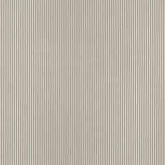 Robert Allen Menara Stripe Cement 259109 Nomadic Color Collection Indoor Upholstery Fabric