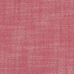 Perennials Rough 'n Rowdy Hotsy Totsy 955-333 Beyond the Bend Collection Upholstery Fabric