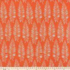 Premier Prints Breeze Marmalade / Luxe Polyester Indoor-Outdoor Upholstery Fabric