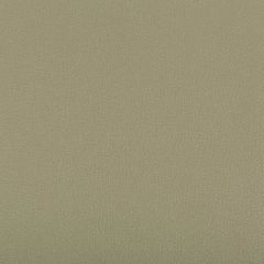 Kravet Contract Syrus Sage 311 Indoor Upholstery Fabric