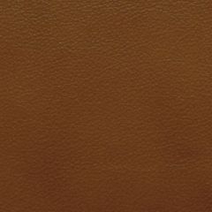 Kravet Design Cognac L-Portofin Indoor Upholstery Fabric